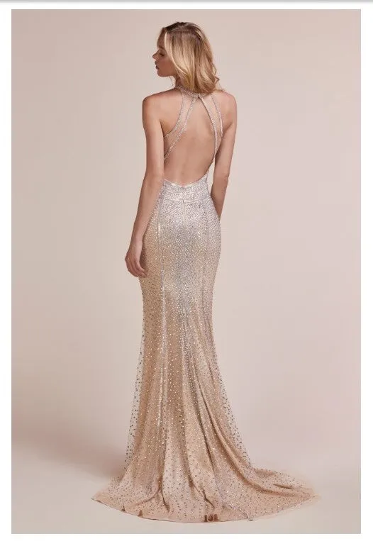 Andrea & Leo Couture A0660 Special Occasion Dress, Prom Dress, Bridal Attire