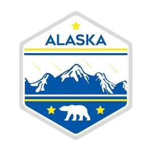 Classic Slipper Socks | Alaska