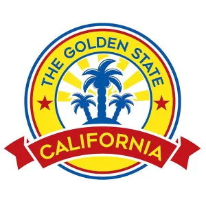 Classic Slipper Socks | California