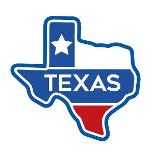 Classic Slipper Socks | Texas