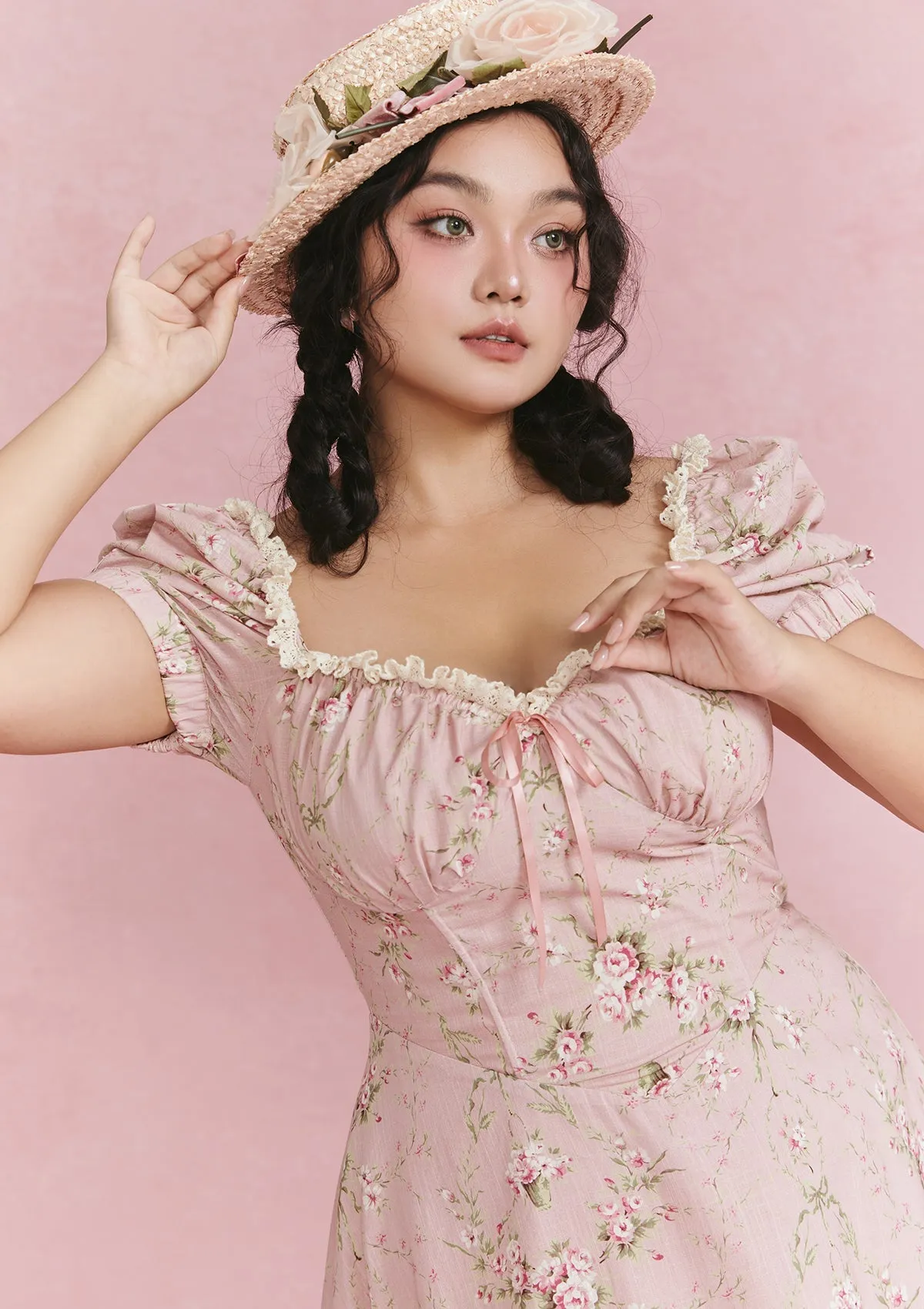 Curve & Plus Rosa Rubus Story Corset Dress