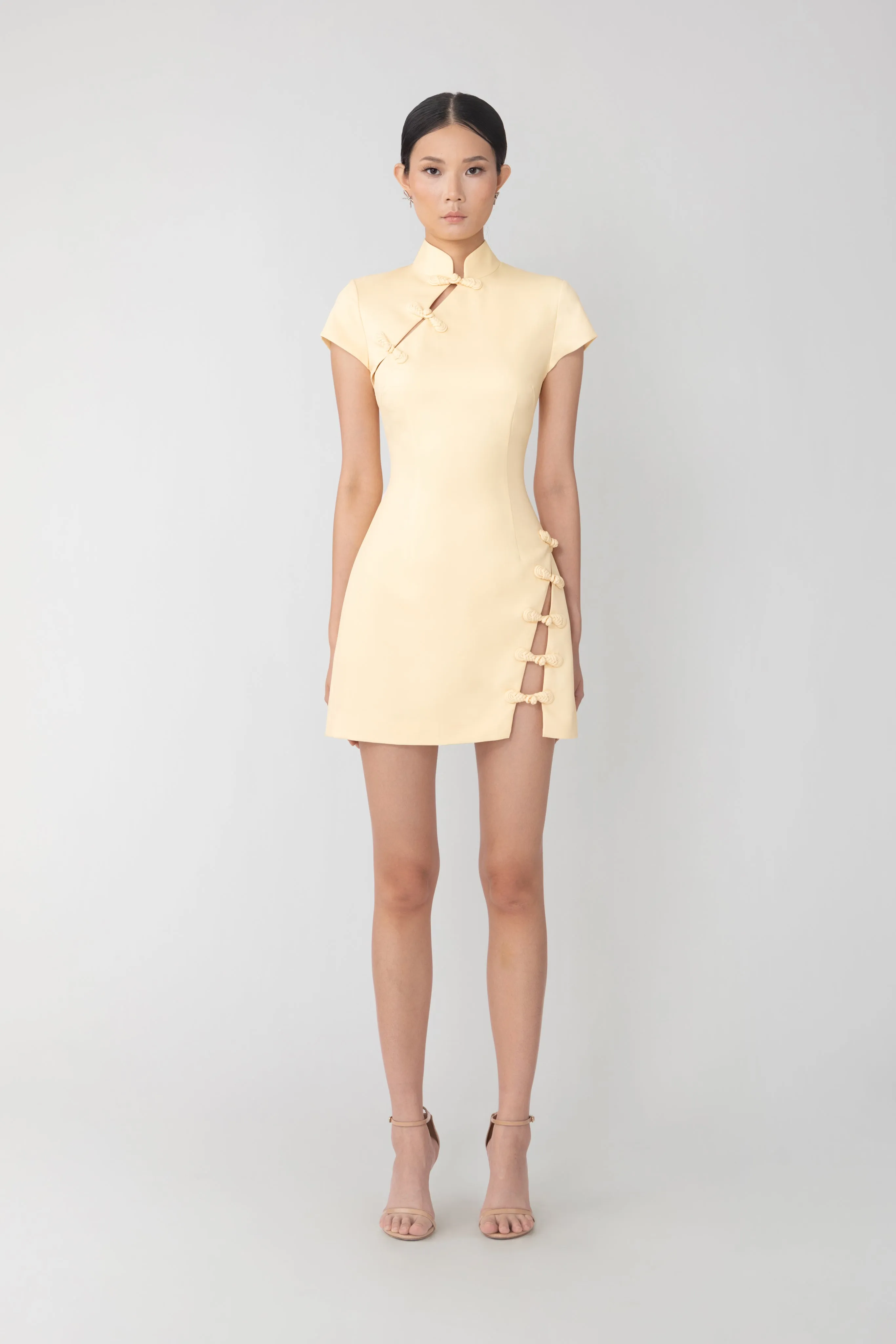 Iris Mini Dress
