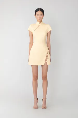 Iris Mini Dress
