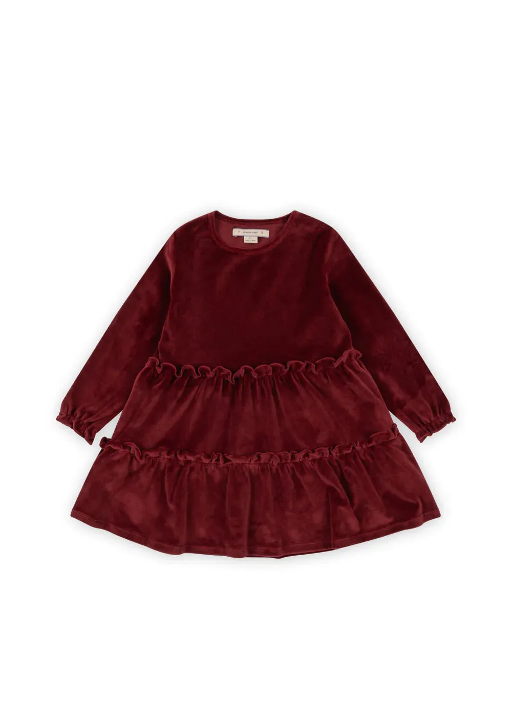 Jingle Dress