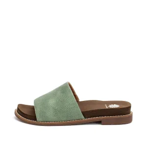 KALO SHOES