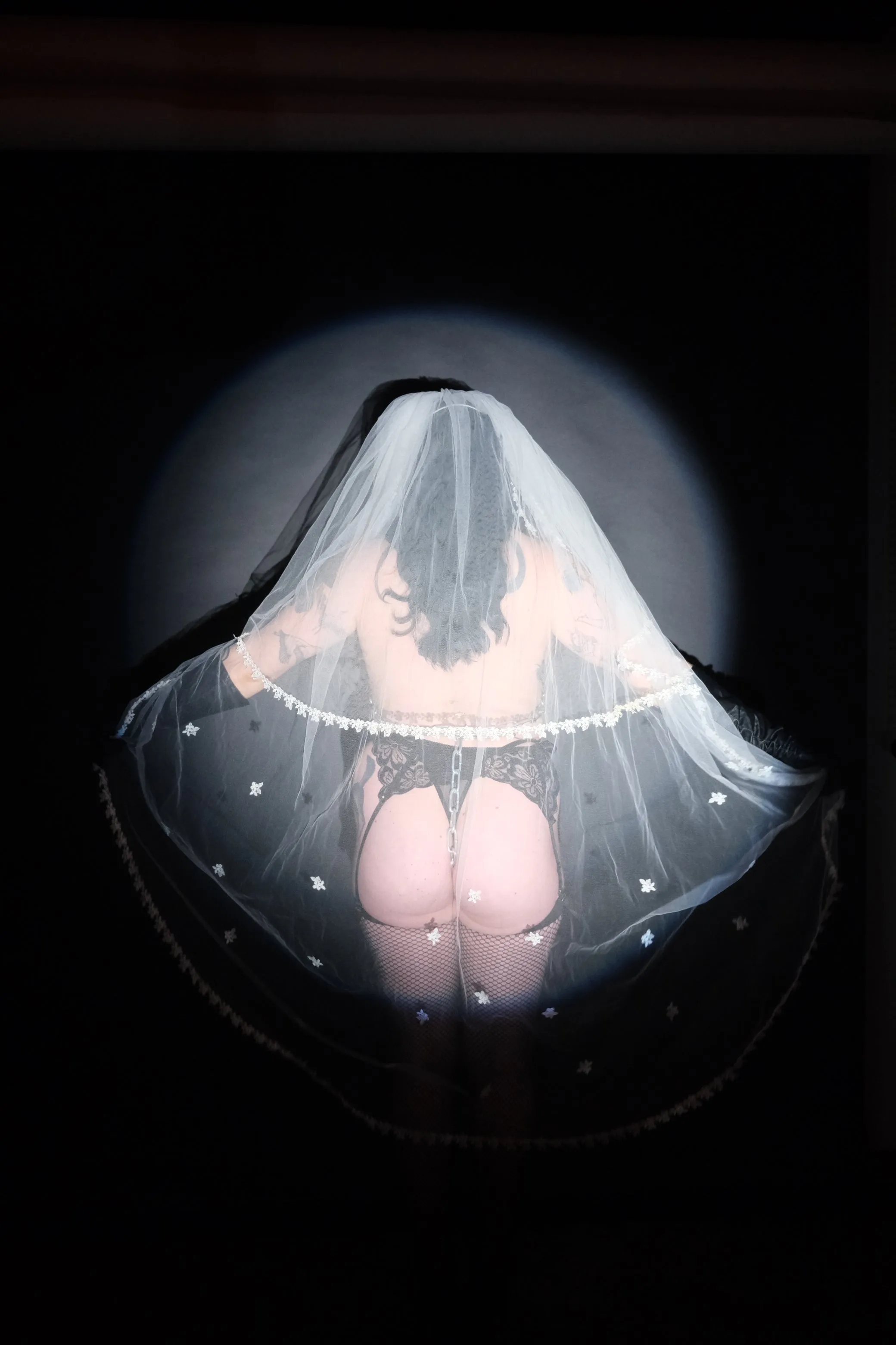 Lover’s Lane Veil
