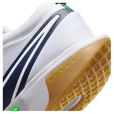 Nike Court Zoom Pro Men's Shoes