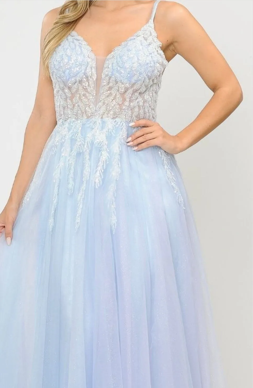 Poly USA Evening Gown 8718