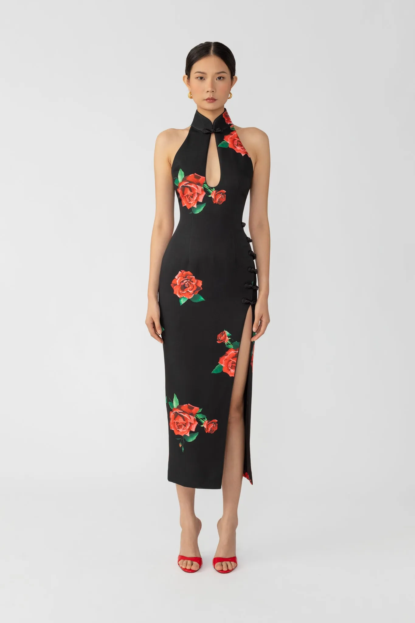 Rayna Rosa Dress