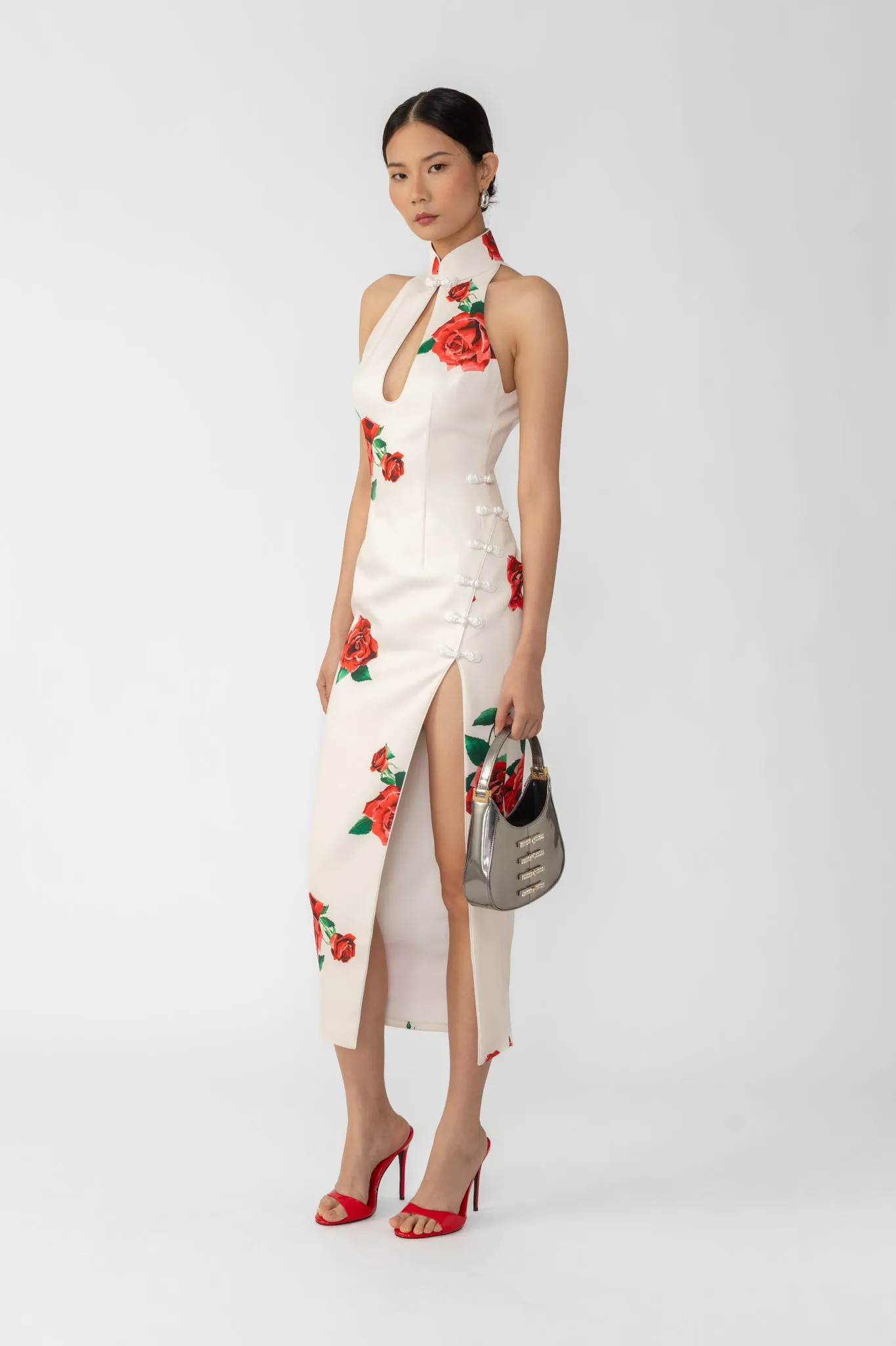 Rayna Rosa Dress