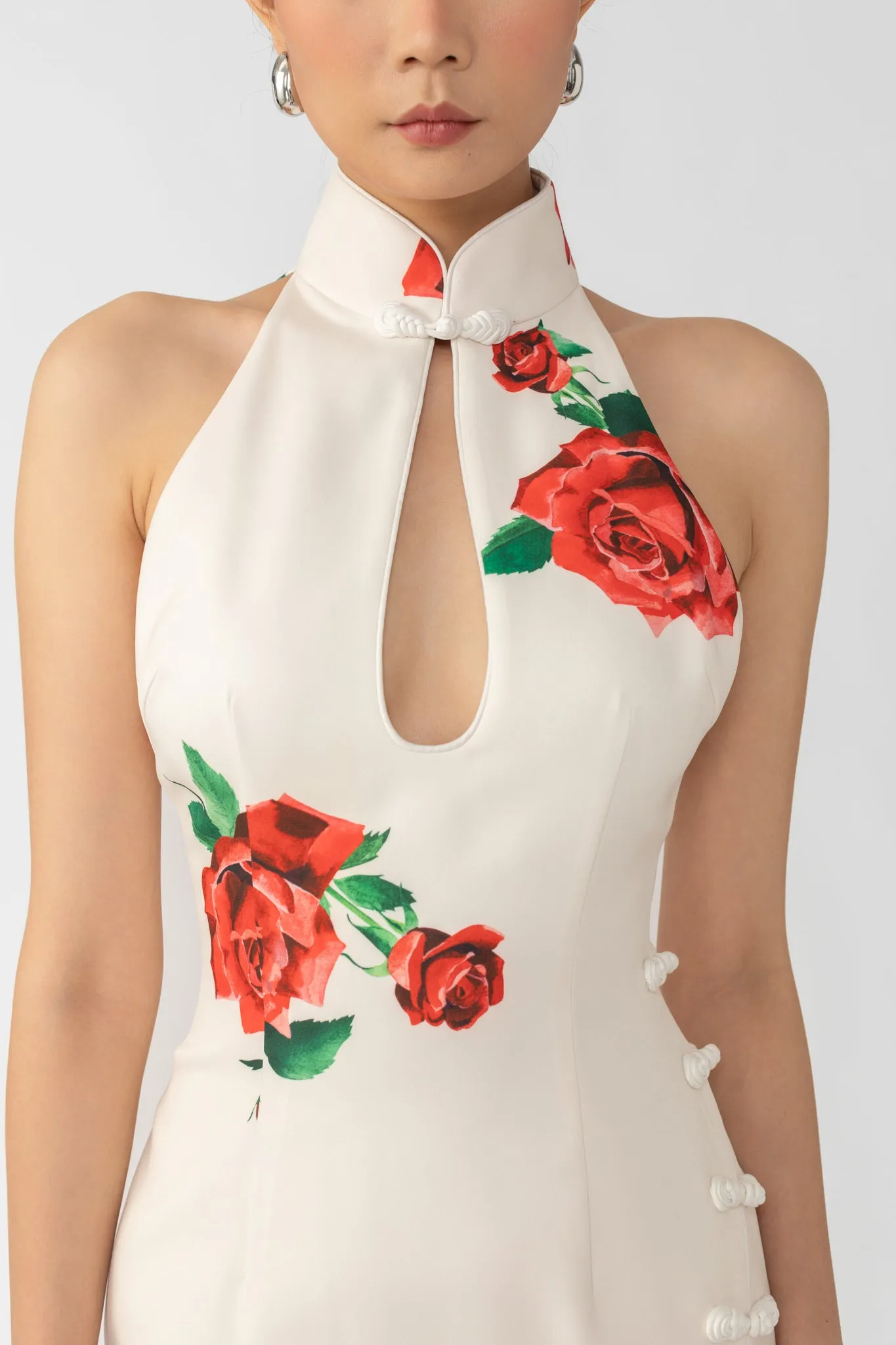 Rayna Rosa Dress