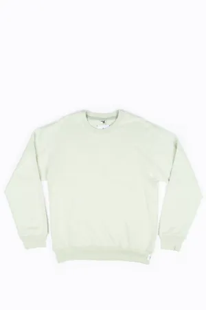 REIGNING CHAMP KNIT LIGHTWEIGHT TERRY RELAXED FIT CREWNECK CACTUS