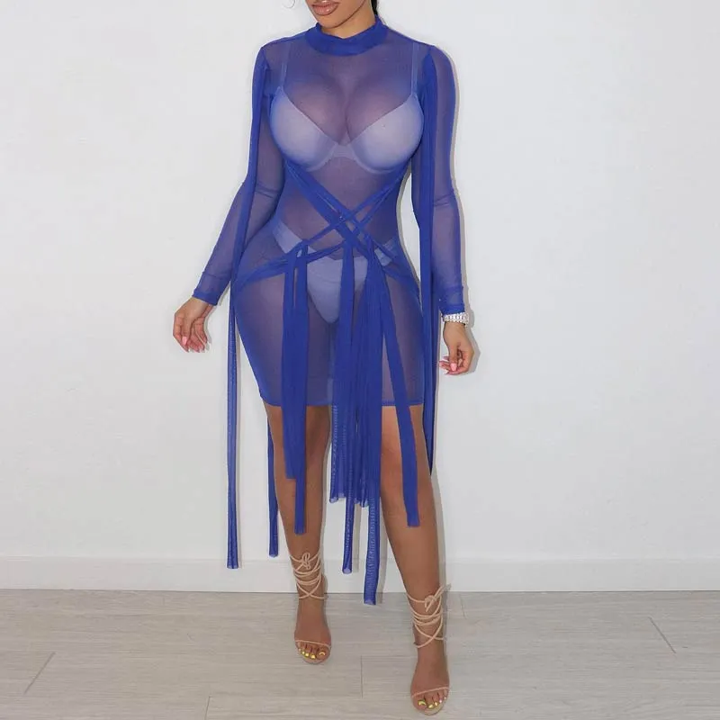 Sheer Mesh Bandage Bodycon Mini Dress