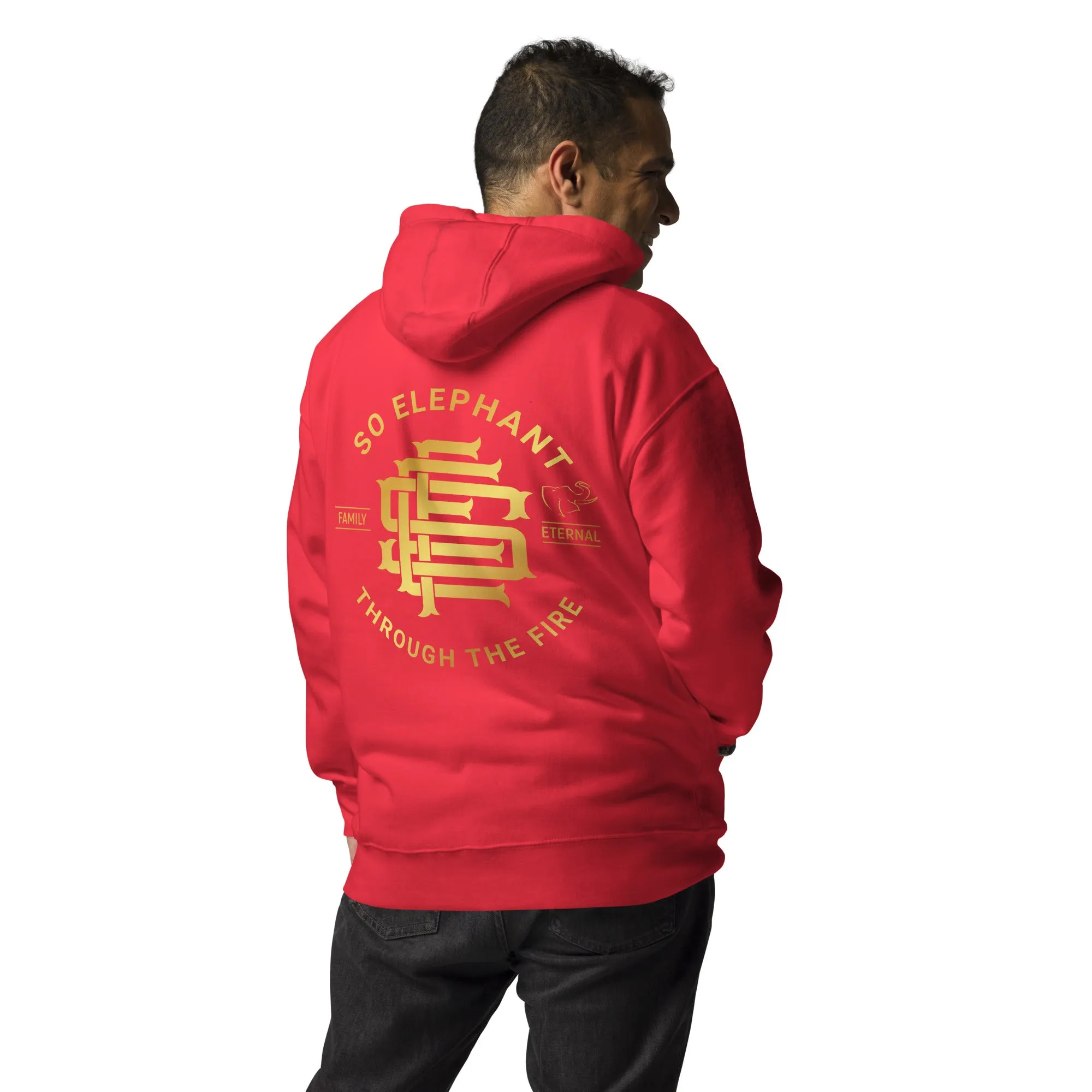 SO ELEPHANT MEN'S "THROUGH THE FIRE BACK PIECE" HOODIE