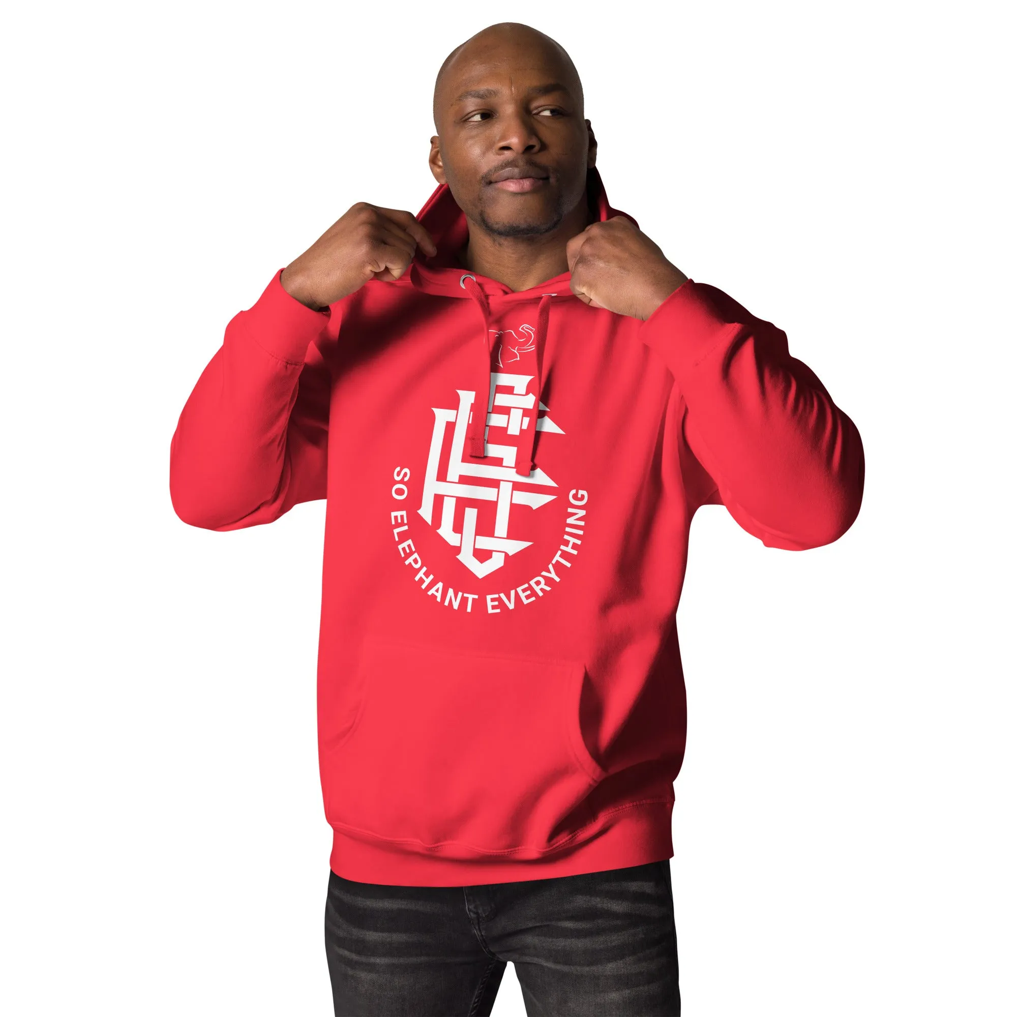 SO ELEPHANT "EVERYTHING" MEN'S HOODIE