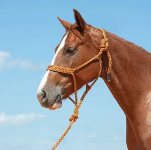 TKCAS/HTR--Gold Halter Rope w/Lead & Braided Mule Tape